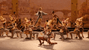 Enblecorsaire GIF by English National Ballet