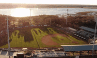 TheCitadelAthletics baseball college baseball bulldogs citadel GIF