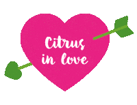 In Love Valentine Sticker by Citrus
