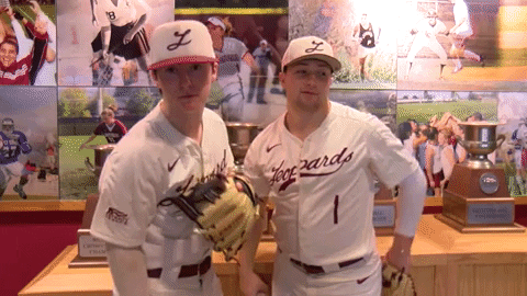 Baseball Johnson GIF by Lafayette Leopards