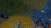 Ucd GIF by UC Davis