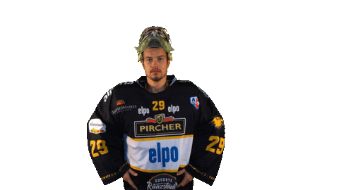 Dance Win Sticker by HC Pustertal Wolves