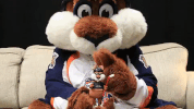 mascot bobblehead GIF by Greenville Swamp Rabbits