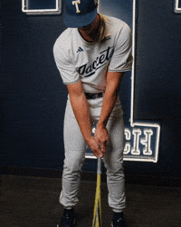 Georgia Tech Baseball GIF by Georgia Tech Yellow Jackets