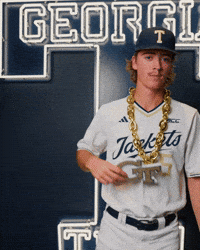 Georgia Tech Baseball GIF by Georgia Tech Yellow Jackets