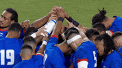 Rugby Union Sport GIF by Rugby World Cup