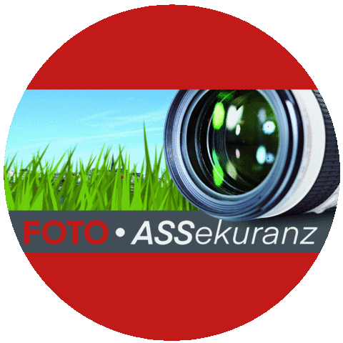 Fotoassekuranz fotoass fotoassekuranz fotoversicherung pundp Sticker