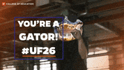 Uf Gator GIF by University of Florida College of Education