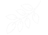 List Slovakart Sticker