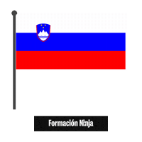 Flag Bandera Sticker by Formación Ninja