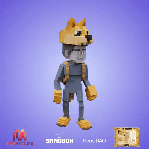 OwnTheDogeWow giphyupload GIF