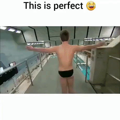 perfect dive GIF