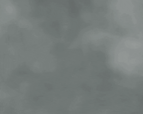 GIF by St. Vincent