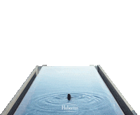 hotelhubertus hotel hubertus hotel hubertus hotelhubertus Sticker