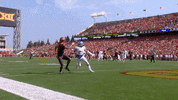 cyclonestv lazard toe touch GIF