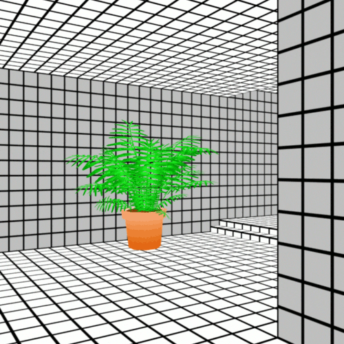 room plant GIF by jjjjjohn