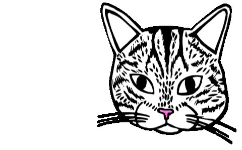 Cat Sticker
