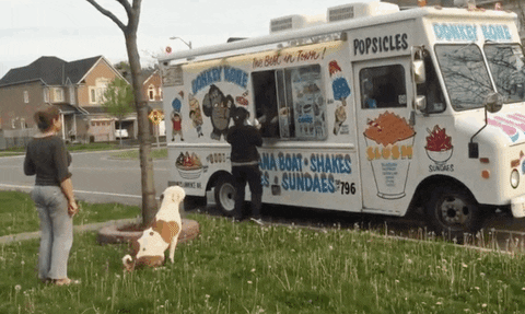 ice cream GIF