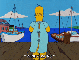 homer simpson GIF
