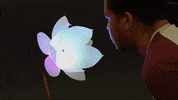 GIF by Codehouse