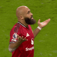 Old Trafford Celebration GIF by Manchester United