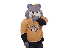 Ice Hockey Goal Sticker by NHL