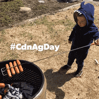 agmorethanever cdnag cdnagday canadian ag agmorethanever GIF