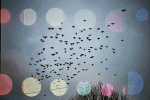 london 35mm GIF by Blanca Viñas