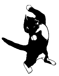 Cat Play Sticker by Wonderyash