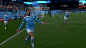 Happy Major League Soccer GIF by NYCFC