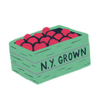 Sticker Fall Sticker by Yes! Apples