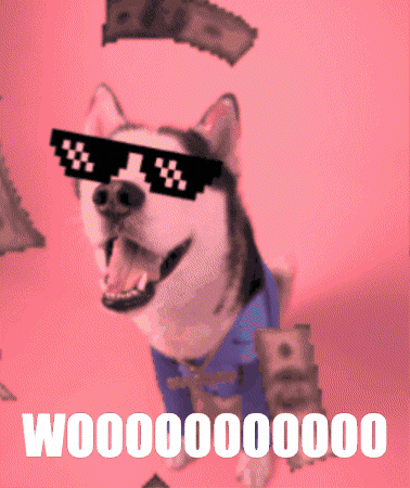 swagrman giphygifmaker dog celebration giphystrobetesting GIF