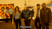 fox tv teamwork GIF by Rosewood