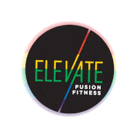 elevatefusionfitness workout bounce pittsburgh climb Sticker
