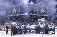 Ice Hockey Sport GIF