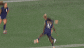 Goalcelebration Seattlereign GIF by National Women's Soccer League