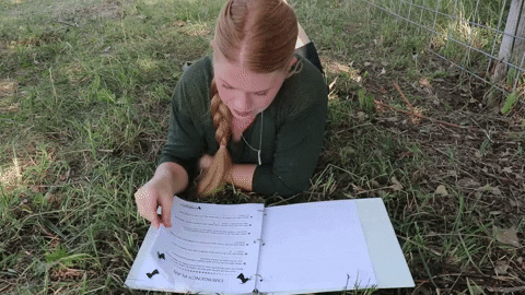 delciplouffe giphyupload GIF