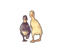 Friends Sticker Sticker