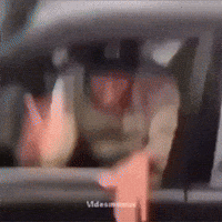 Slokied GIF