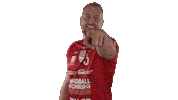 Handball-Bundesliga Handball Sticker by LIQUI MOLY HBL