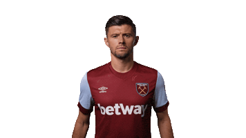 Premier League Hammers Sticker by West Ham United