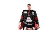 Ice Hockey Celebration Sticker by Boxers de Bordeaux