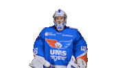 Goal Eagles Sticker by UNIS Flyers