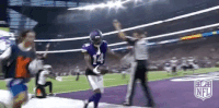 Minnesota Vikings Football GIF by NFL