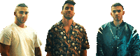 manuel turizo Sticker by Prince Royce