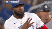 Blue Jays Sport GIF by MLB