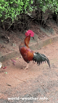 Dance Jumping GIF by world-weather.ru