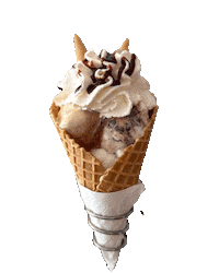 Ice Cream Italia Sticker by vesuxconceptfood
