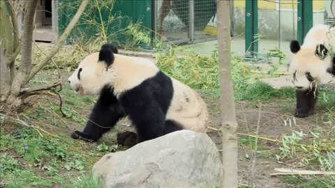 patcassidy giphyupload GIF