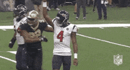 Houston Texans Football GIF by NFL